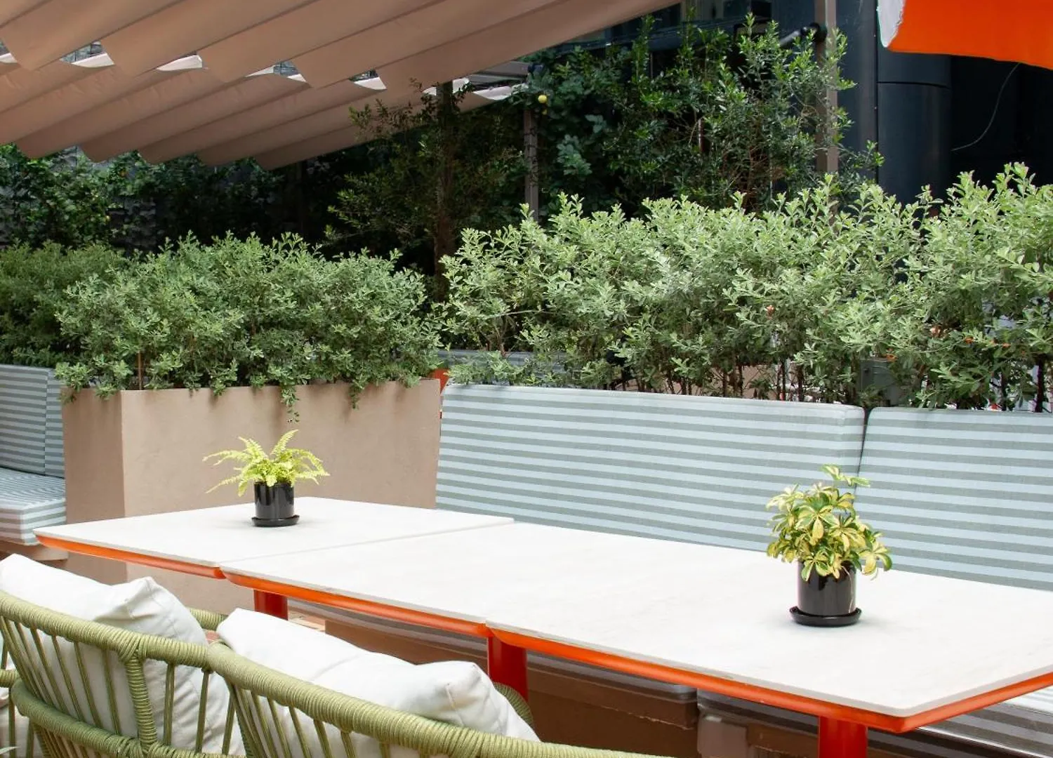 סינגפור Crowne Plaza Changi Airport By Ihg